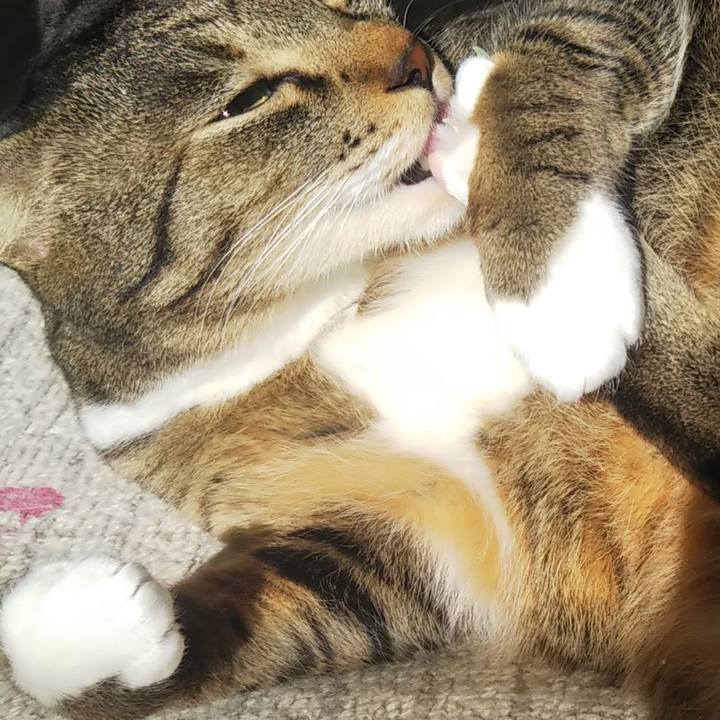 32057cc4 8150 4f02 a5d8 3871a2aff84e 1609300032008