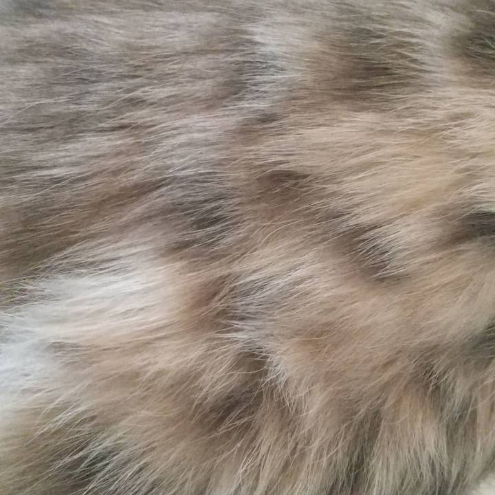 3205823a 8041 45d8 95d4 42bf7aaa62bc 1643859408331