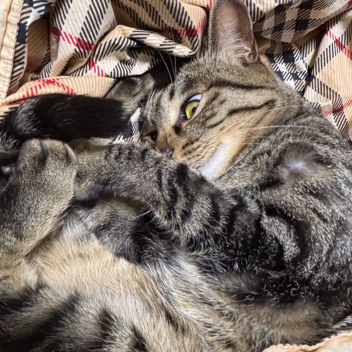 32059de0 7b6d 426a 99a1 9abea0c47490 1770515394436