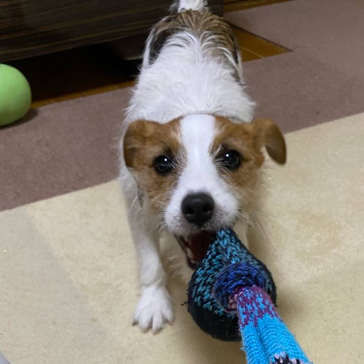 3205a8b2 fe55 4c28 a1c7 27036479c96c 1631712746345