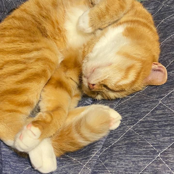 3205b197 e875 4479 a103 ebba80a0cda5 1622057238222