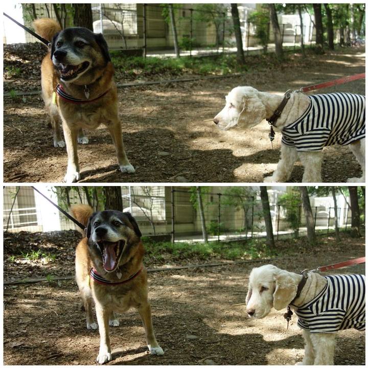 3205b73a 502d 4db5 a909 6ad3ffdda01c 1636075978386