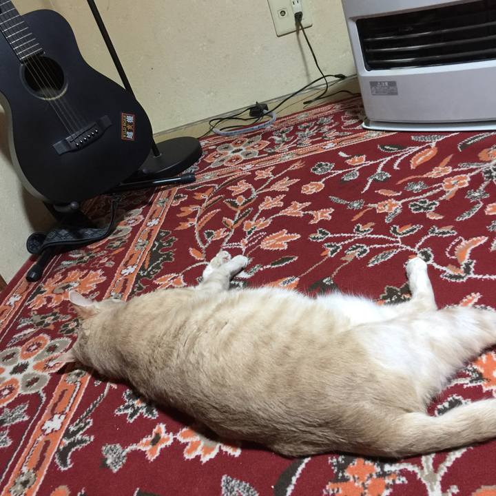 3205c17e 3801 41b2 9bbf d28a4791fc2e 1602852002864