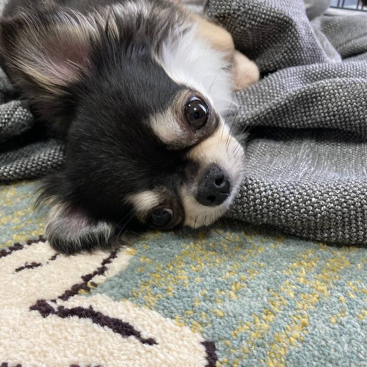 3205cc33 858f 4eb0 9203 711cf9c2e543 1621676519534