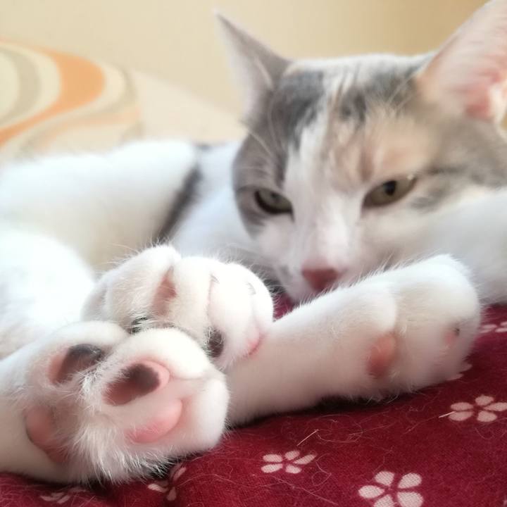 3205d1d2 caae 47d5 a990 cf65412a3a6f 1525510414406