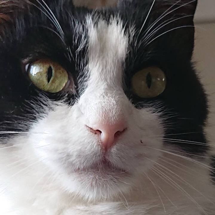 3205f885 7f43 4893 83d8 dc94a6ed134a 1742590738721