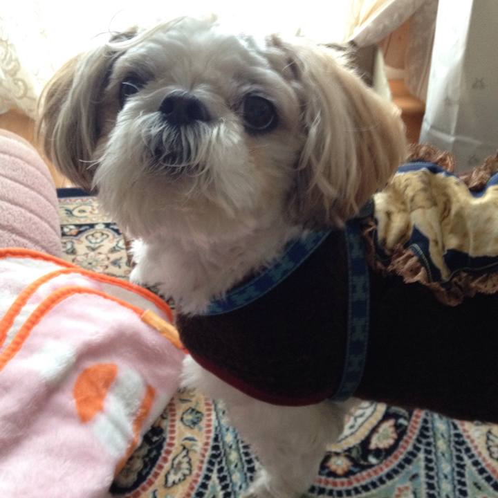 3206125f c13d 4cb2 be49 94c99f800cfe 1509658199188