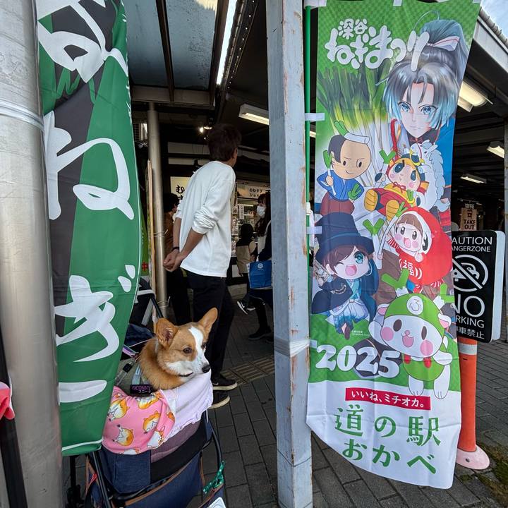 3206166d c449 4818 b0d0 0b7f870ab36b 1763960979984