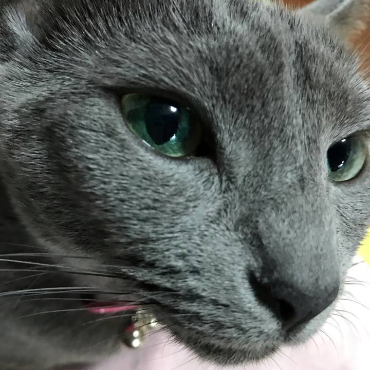 320618f1 eb60 4a51 a0da c8b0ae000bbb 1539422130354