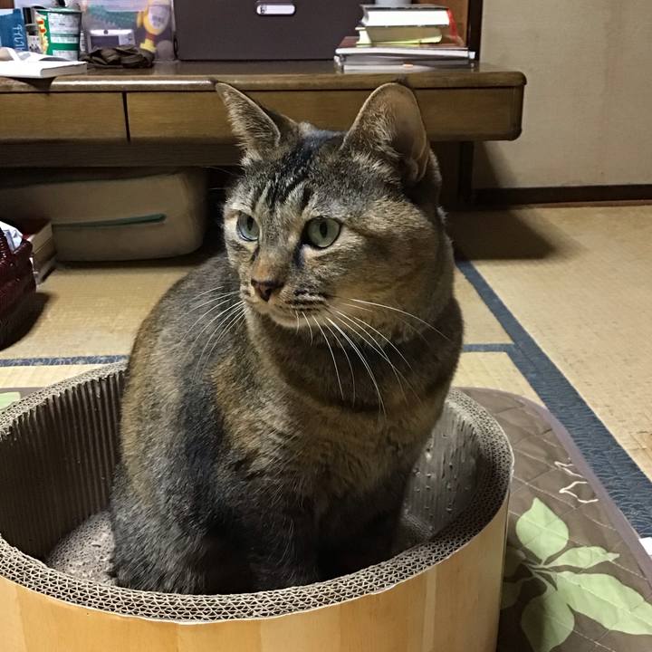 320652b5 bd0b 4a07 a871 0472bb83835d 1762859919909