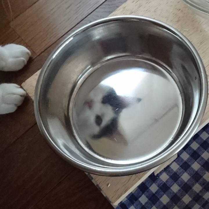 320664cb c0f7 4f1f 96e3 fe51ef0c7ed7 1546511458002