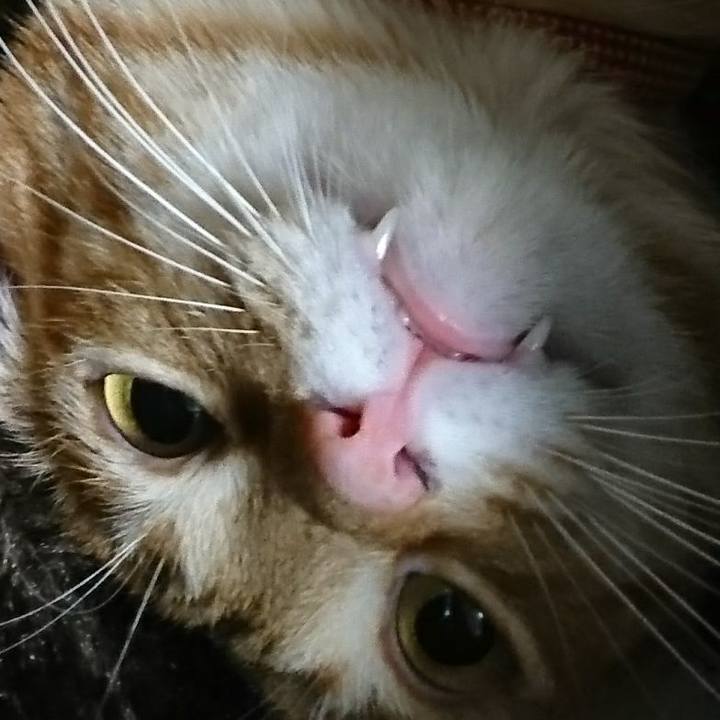 32066739 f4a5 421e acc9 b45c0c29042b 1520080671406