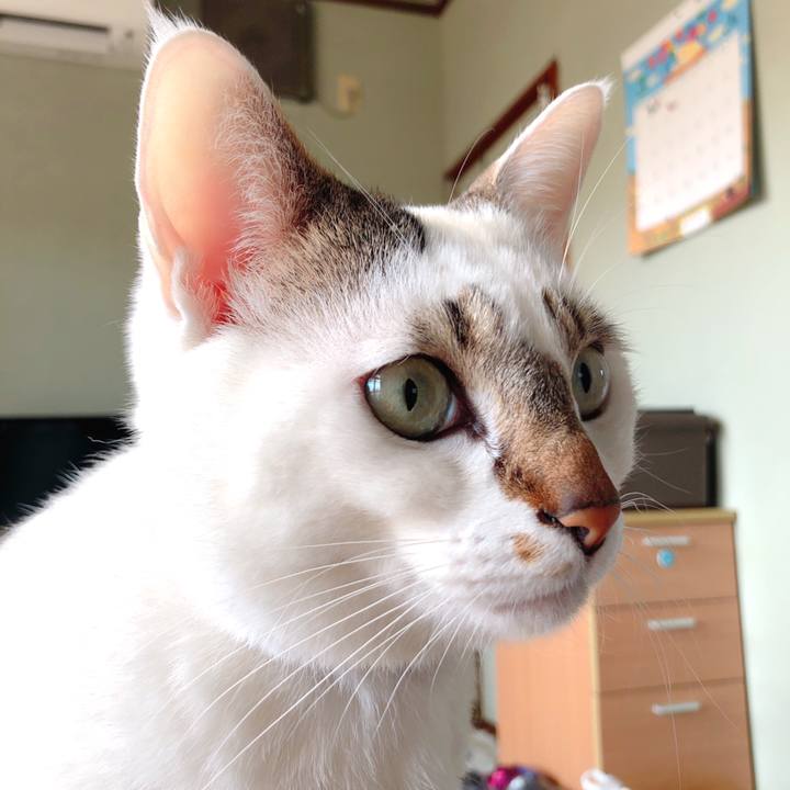 32067e3e feff 466c 9eca 890033225407 1521345251974