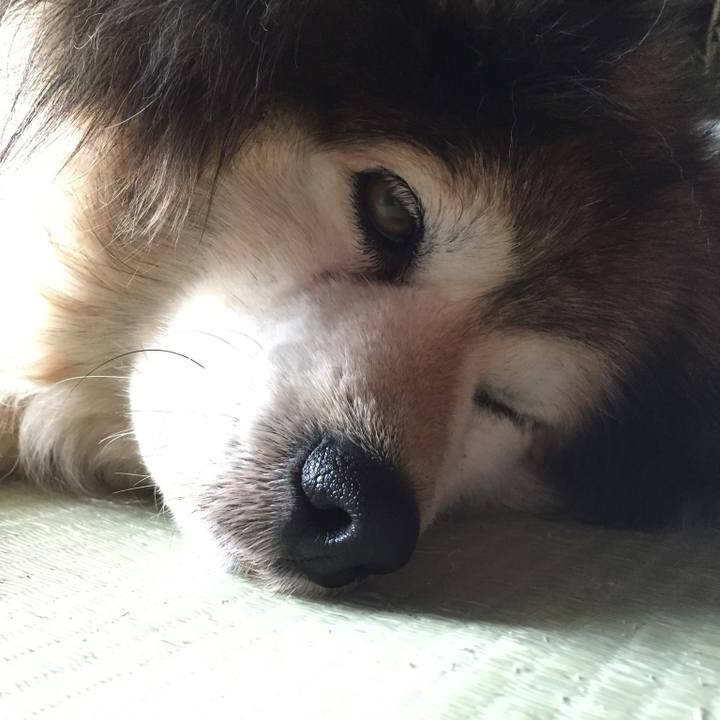 320680be 6891 4180 8325 e0d17686421d 1594646134131