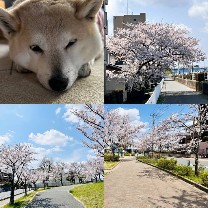 3206cd97 15d6 47fb b804 b55ac80e4363 1743996825314