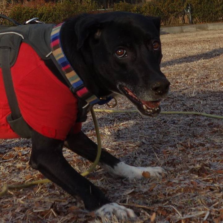 3206d0ee bbcc 434d a515 e0b7d338b346 1642382470646