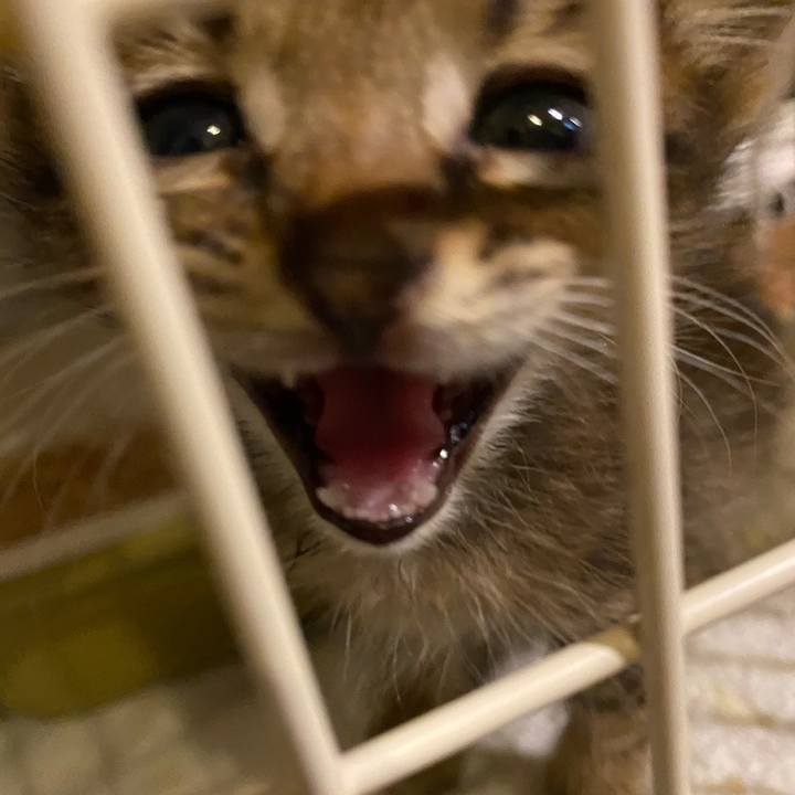 3206e4dd 10af 4a13 8b0c ea2c30724b1e 1634377259386