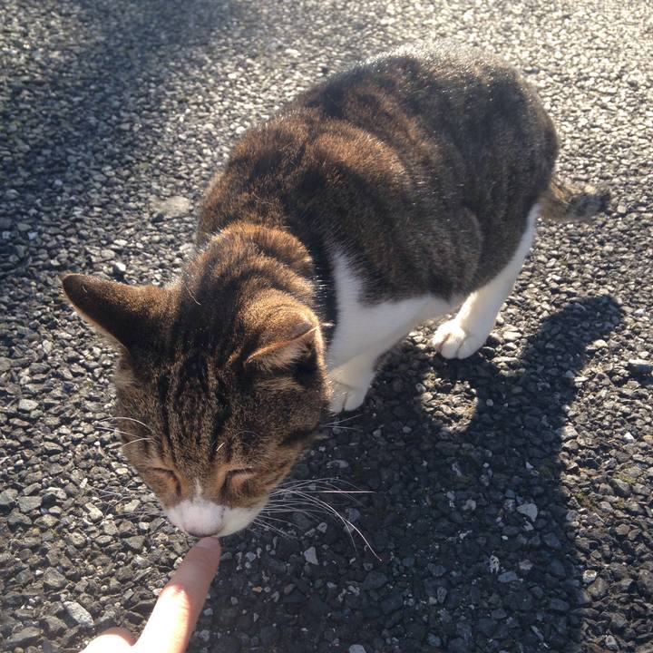 32076aa3 e4c1 437f a7d3 357ca2321b62 1513798343795