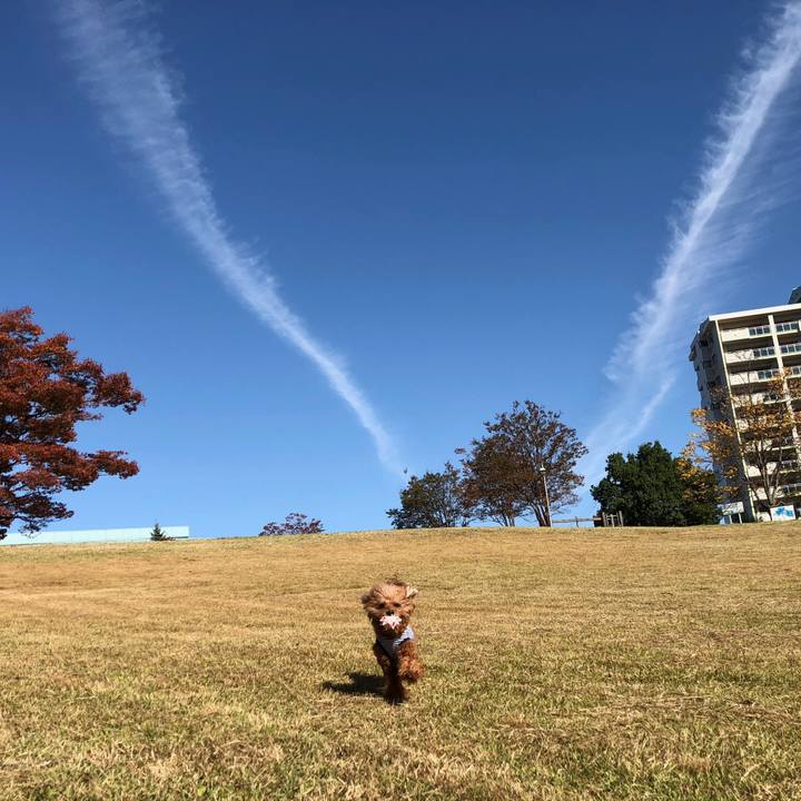 32076ce1 a5d4 4a56 bcf9 ab570ea1aaa0 1540206422409