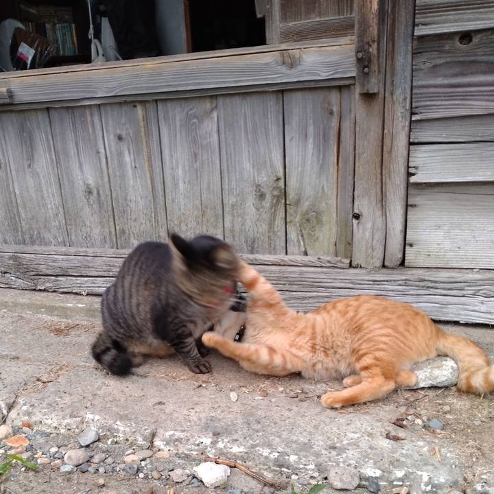 3207985e ffc5 4509 b622 29526a624efd 1664787142554