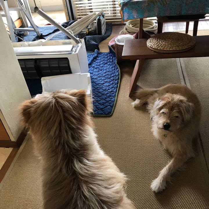 3207bf13 af90 47bc a657 7af33b2b5201 1562049401883