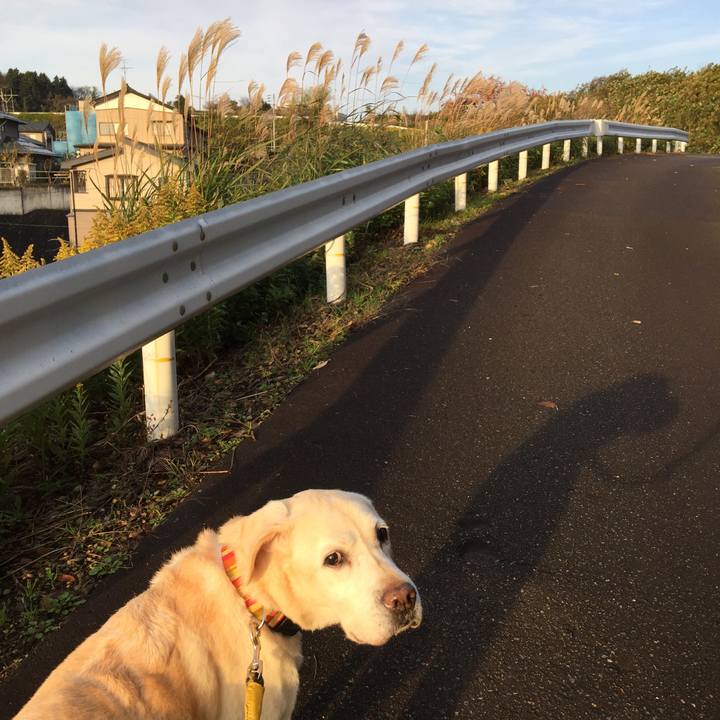 3207c1a4 f132 4191 bcd7 36a12e0dafdd 1542754202746