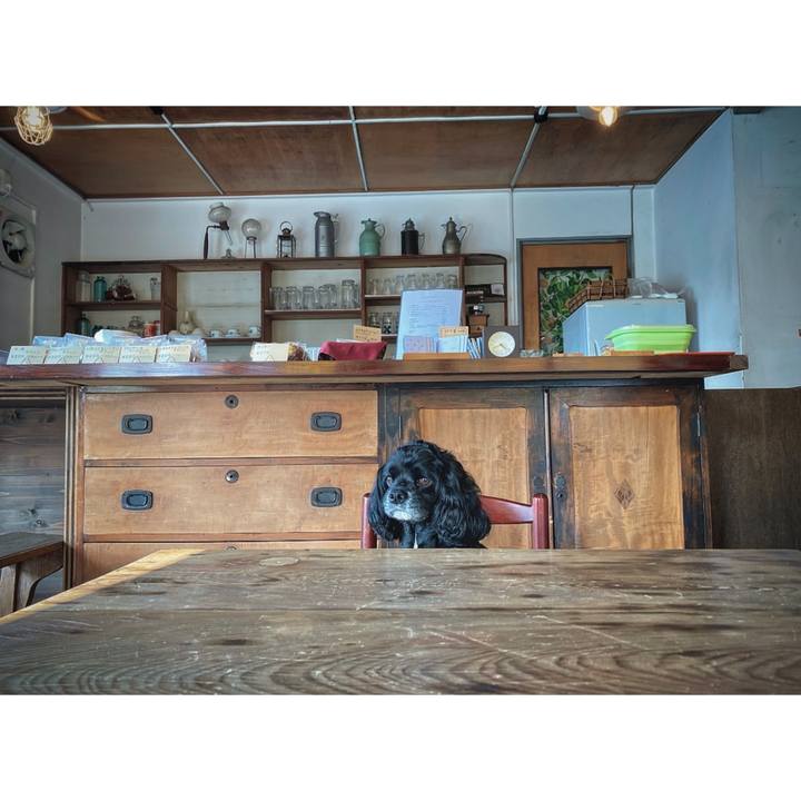 3207e4c4 29ed 4d38 a1ca 5af66011a6f7 1658910144118