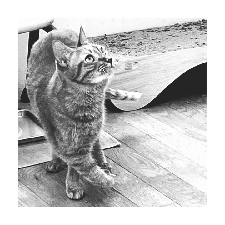 32081971 c9fa 453d bd89 3b2bf7f3d210 1669103963543