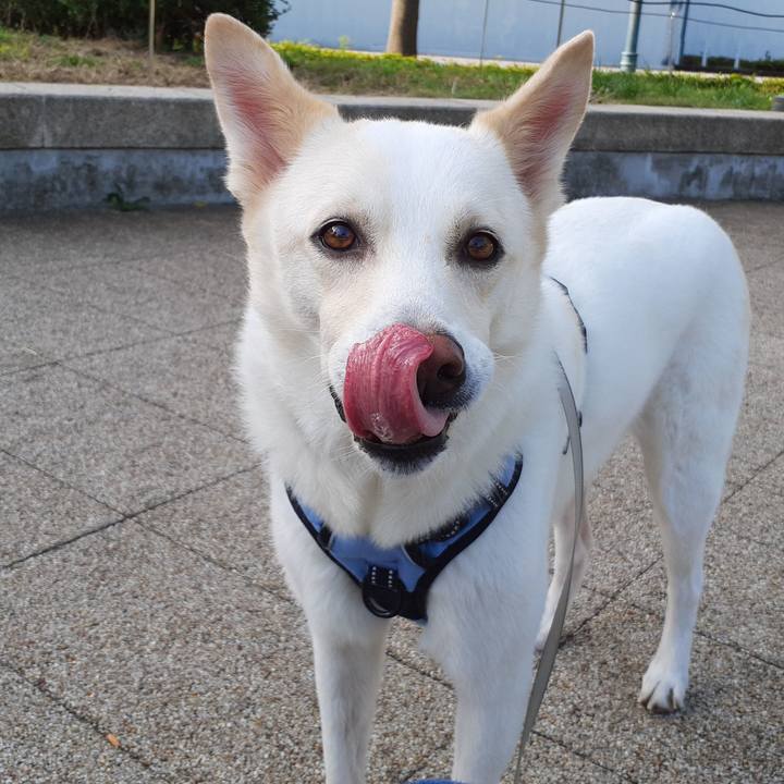 3208311a c2d8 4080 a779 7f82d97e72dd 1664595723787