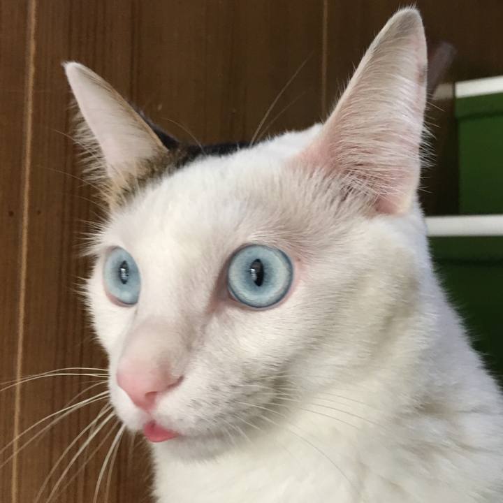 3208332d e524 4fd1 8e11 76e9cf09845b 1509941925269