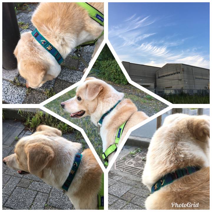 3208b200 4d93 49b2 bc8e 9fff49acfc20 1528034138916