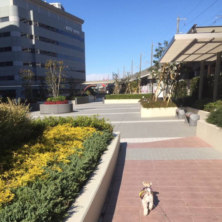 3208c8de fd5d 44d6 962c 32f428eef329 1513501434283