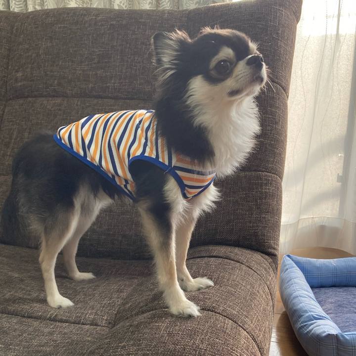 3208d2ec 904c 4e22 9d87 2af6a6b974c0 1694878506020