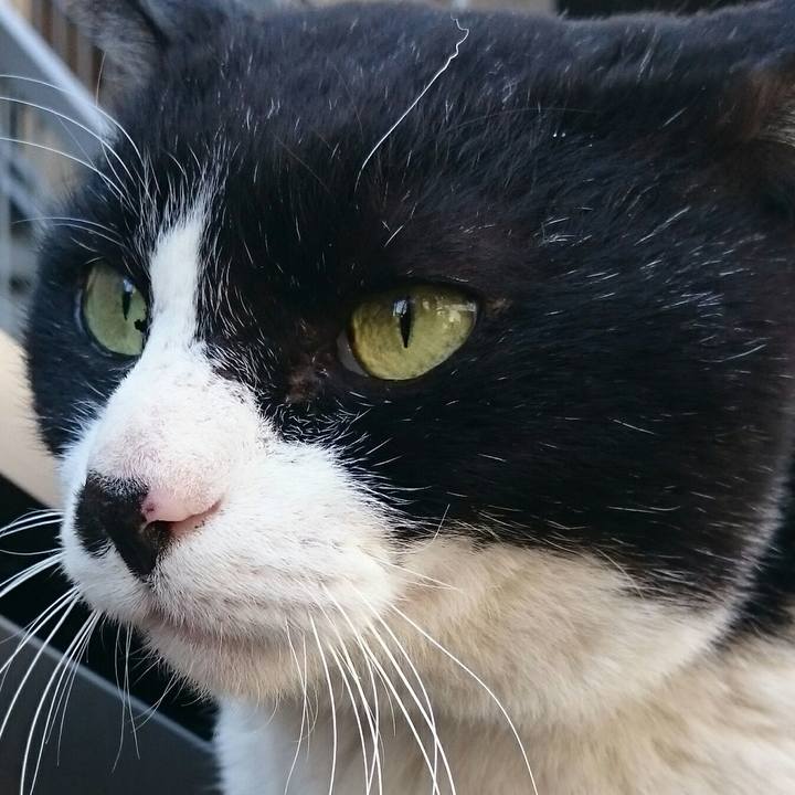 3208d850 e64d 4ba1 9467 7a96f84750cd 1521266809593