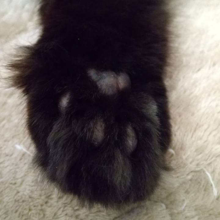 3208e177 75c1 4481 a4f5 ffbc6b377c79 1674863951610