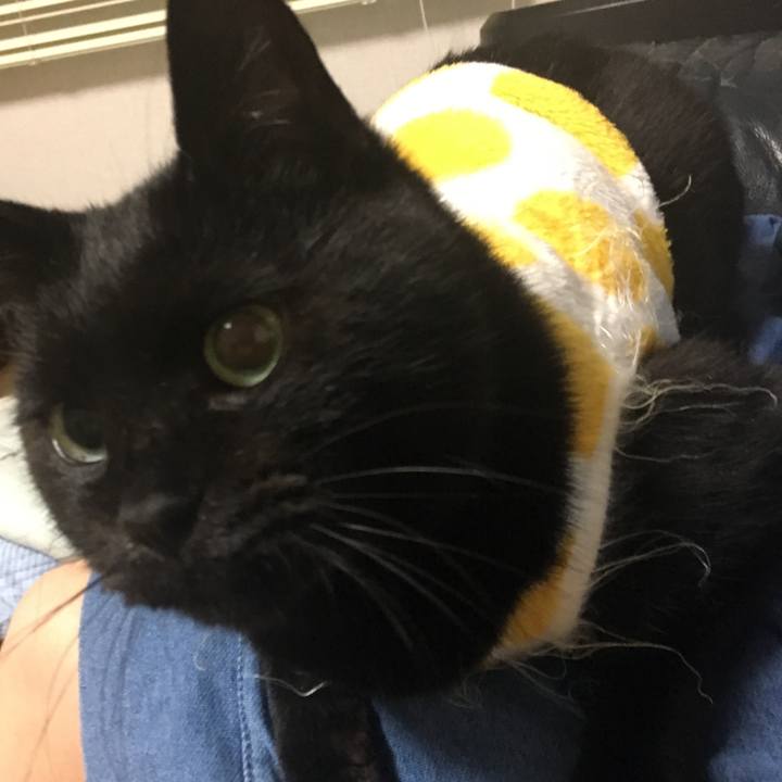 3208efcd 2f28 4131 ba10 c88df235e6d2 1541413439875