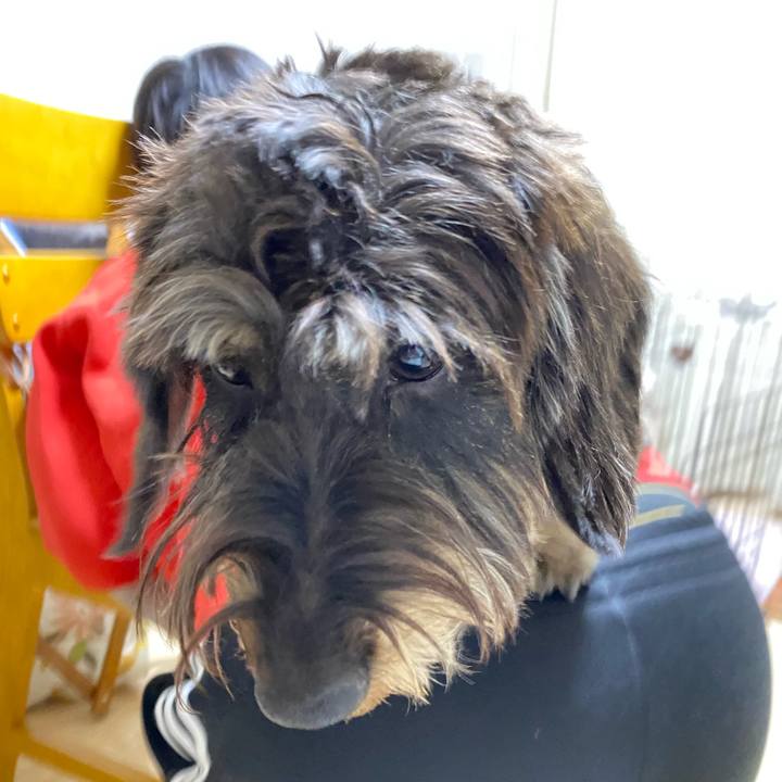 320933c3 ba01 44ae a7ef f3241b738157 1609586386505