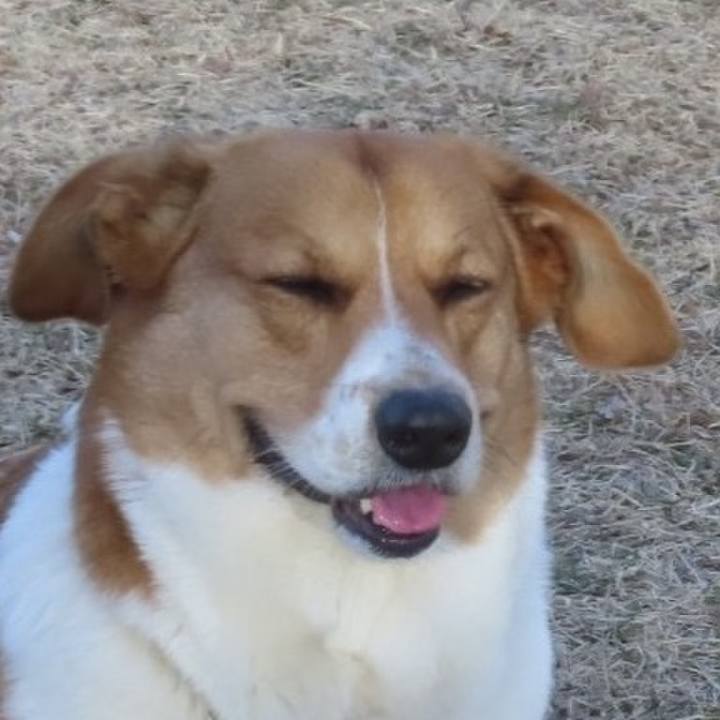 32097018 cd89 4017 ac89 0c913b346931 1738980763889