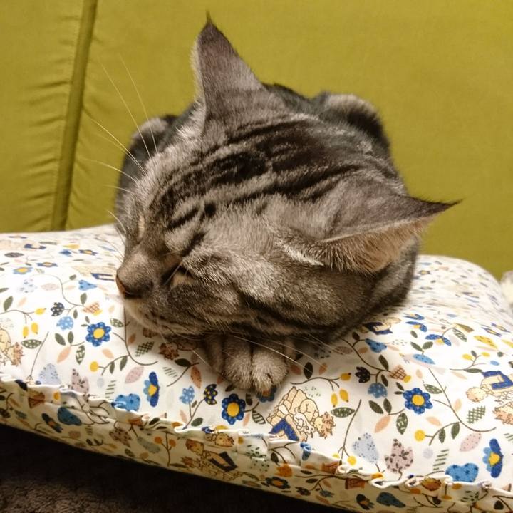 320986d5 a110 4ae1 846c c2c52a08d0d4 1508760046112