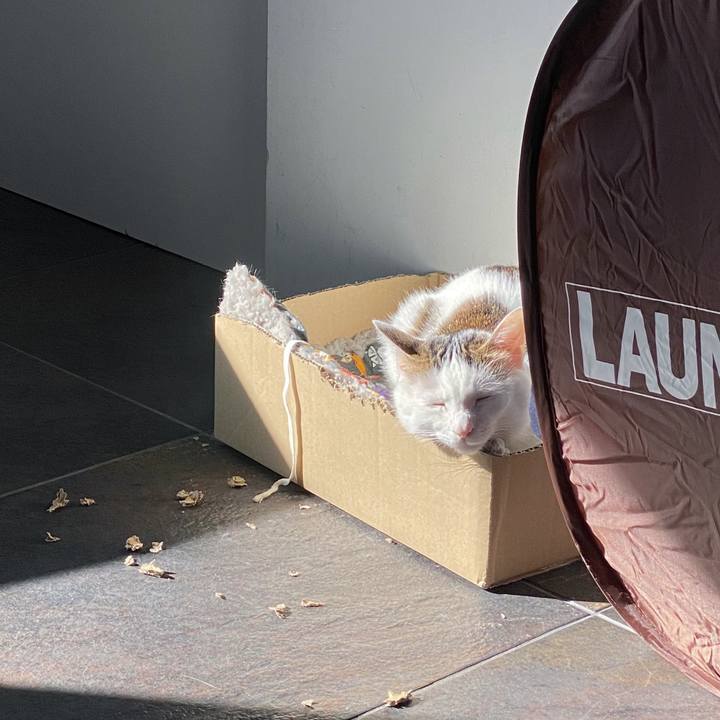 320999ed 32cb 431c 9563 3b0b156a9ae8 1577071237860