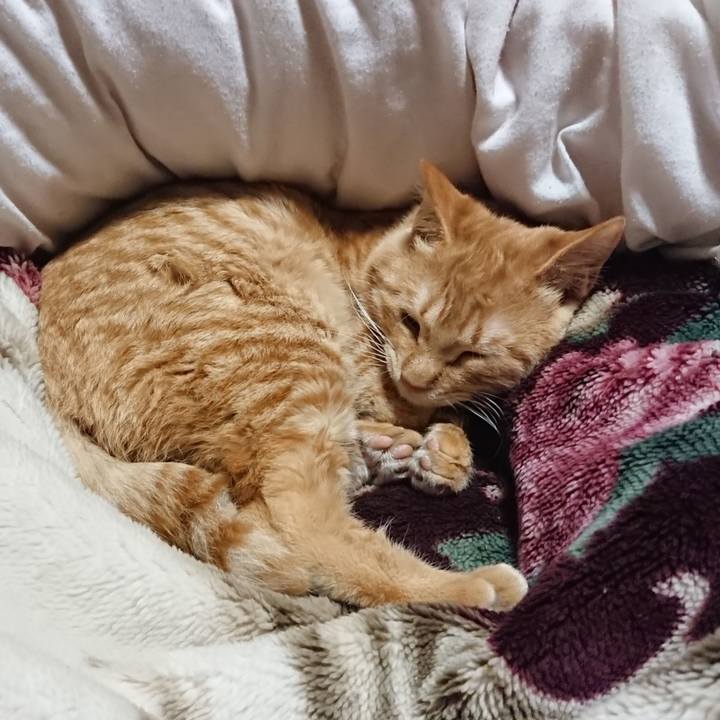 32099a95 806f 45ba aaac 1c0e01080e9a 1638448888474