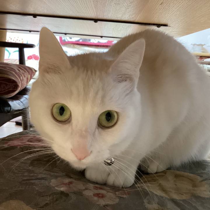 3209affb 6404 4a23 a573 21e69f95e1eb 1674374316149