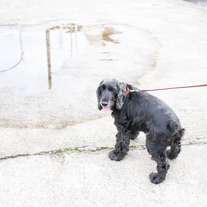 3209b813 0b54 49b5 b697 173198d47874 1580267162598