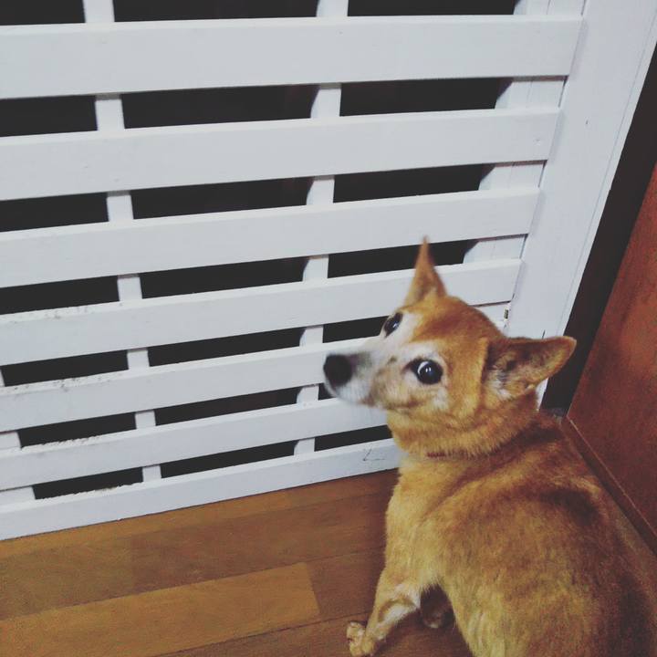 3209e52c 7c8f 46ea 98e7 029d3d81c08e 1593056041930