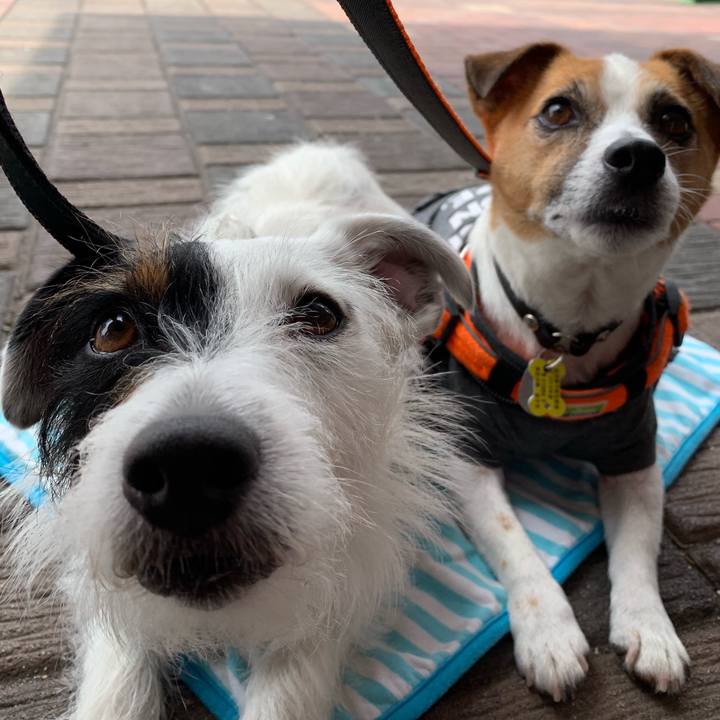 3209f2a4 97b5 4067 bcbe 55b33d134132 1559366854173