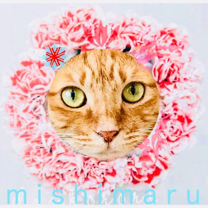 320a3f79 9b6c 4e77 9499 b94efd5c1977 1537937234808