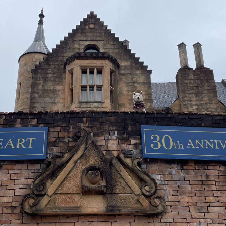 320a4eda 604a 4e17 b1b8 3ccdf2e64a2f 1703990322284