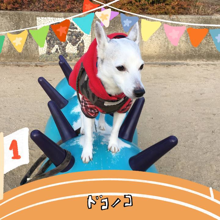 320a5386 f36d 4edb b242 f4b477a5064b 1761173161856