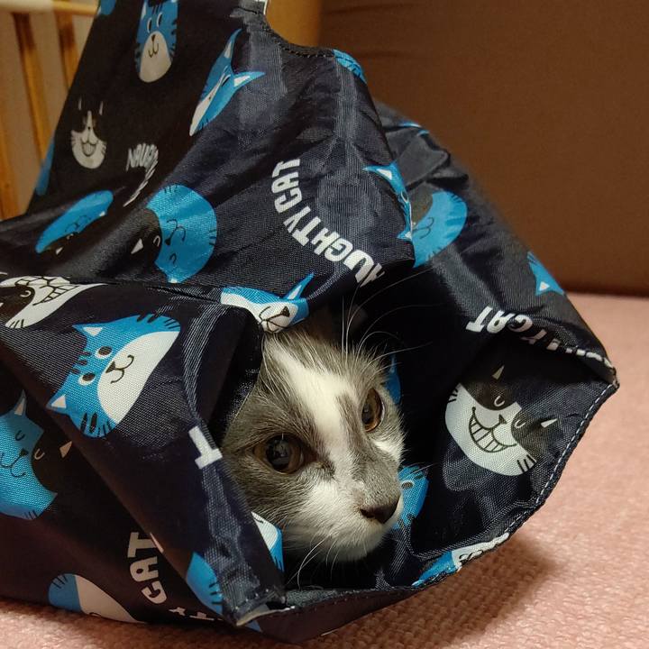 320a645b 2e80 496b 9eee 265c7963727a 1569414275998