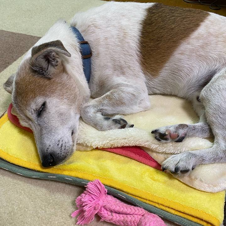 320a6ed4 1224 45da 86a9 ee50412b0efe 1627563718672